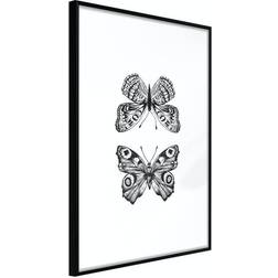 Arkiio Affisch Two Butterflies [Poster] 20x30 Poster